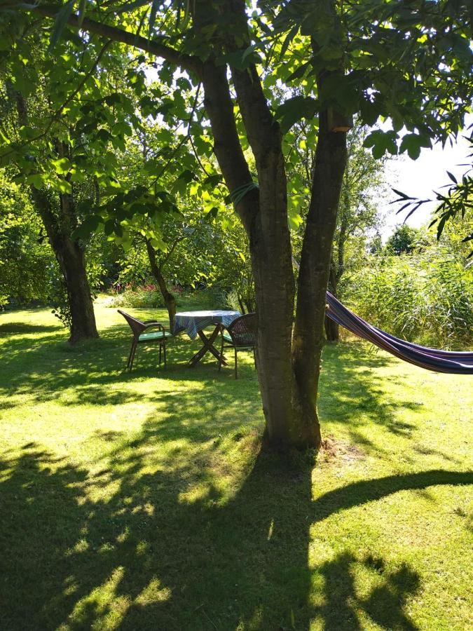 Ouddorp Vakantiehuisje Bagian luar foto