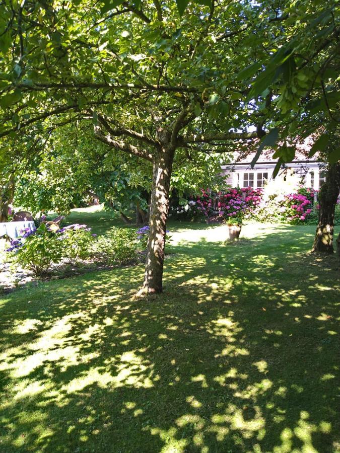 Ouddorp Vakantiehuisje Bagian luar foto