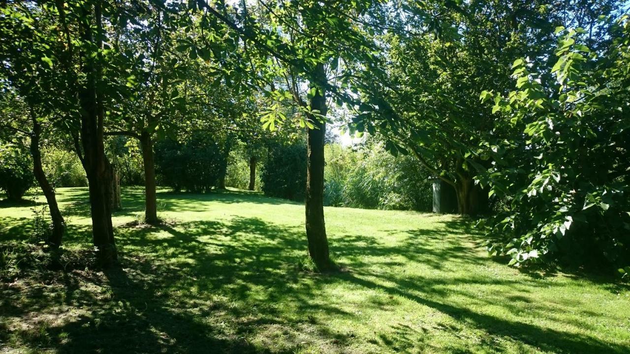 Ouddorp Vakantiehuisje Bagian luar foto