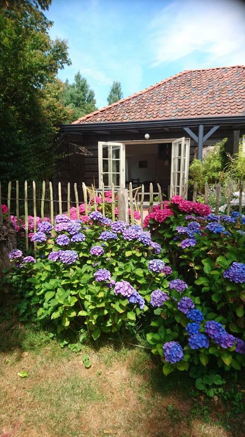 Ouddorp Vakantiehuisje Bagian luar foto