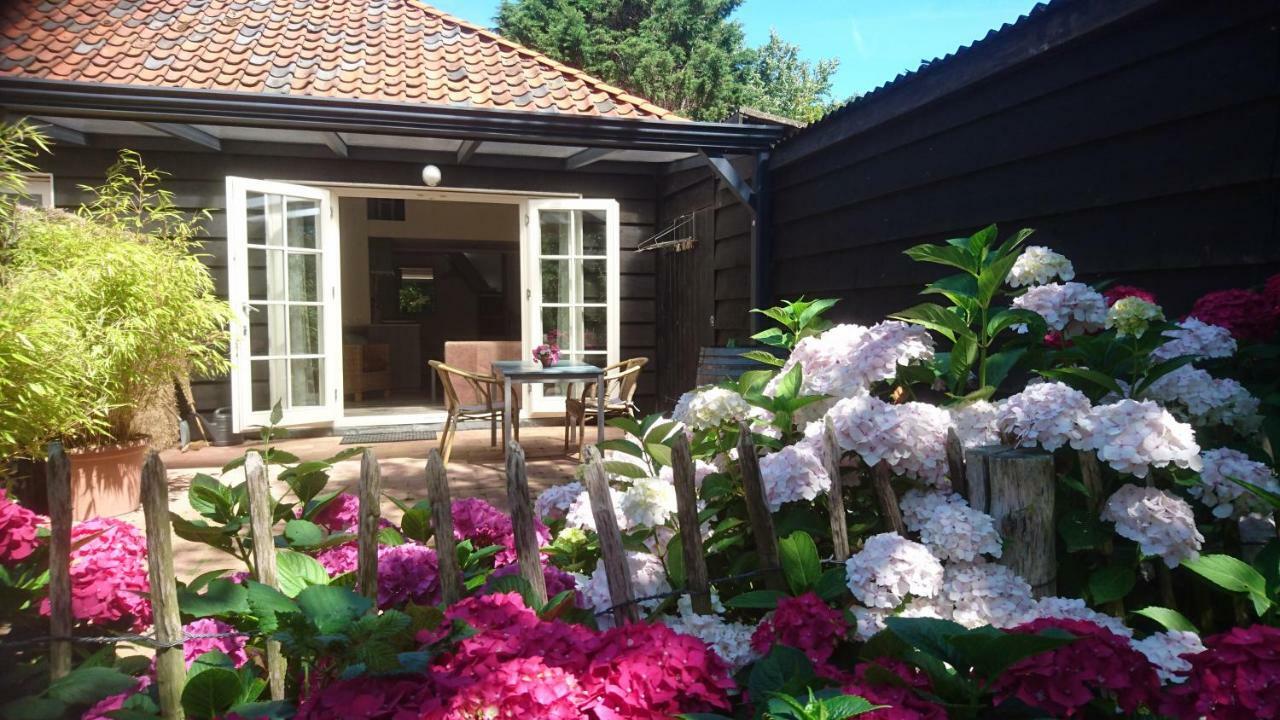 Ouddorp Vakantiehuisje Bagian luar foto